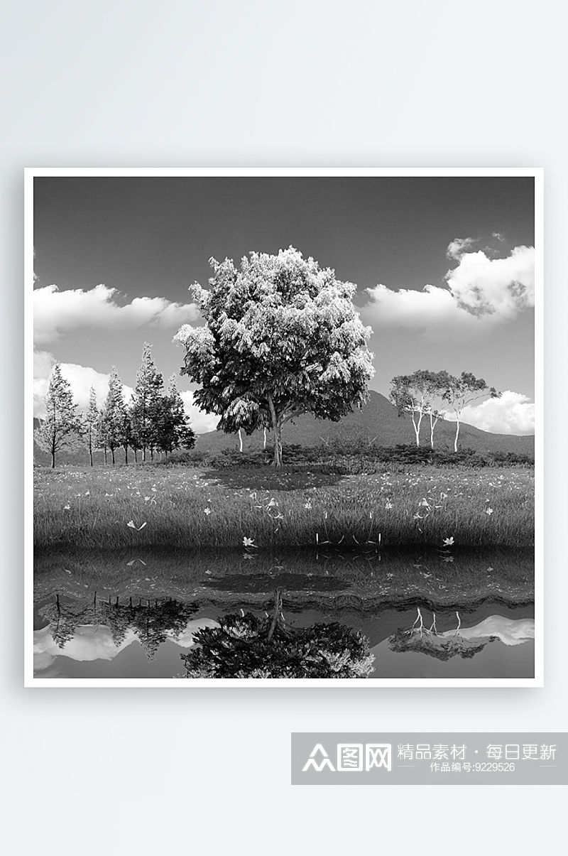 黑白风景大树装饰画挂画素材