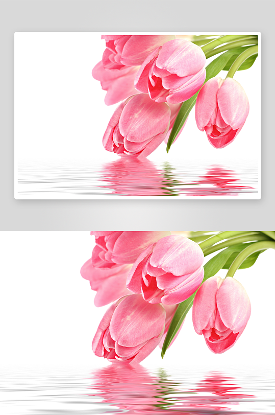 花卉背景墙装饰画-众图网