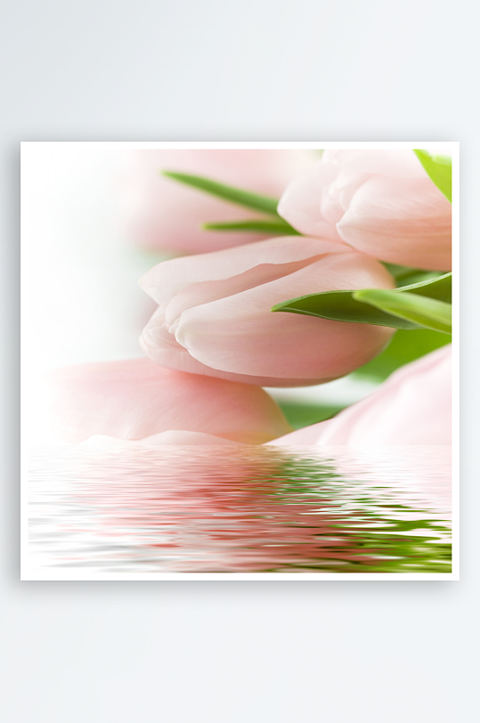 花卉背景墙装饰画-众图网