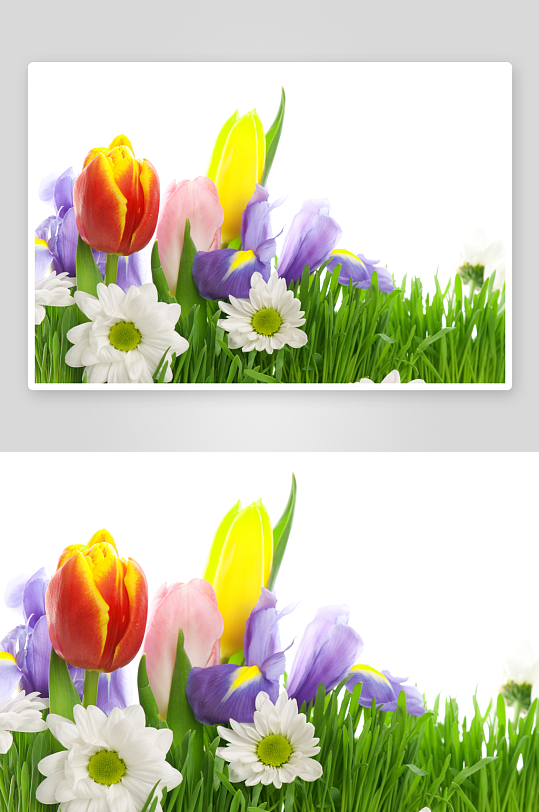 花卉背景墙装饰画-众图网