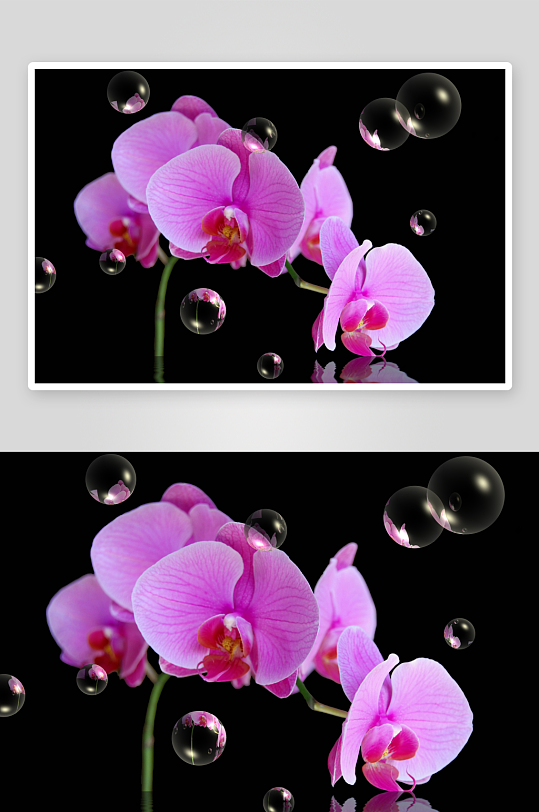 花卉背景墙装饰画-众图网