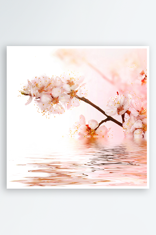 唯美花卉背景墙装饰画-众图网