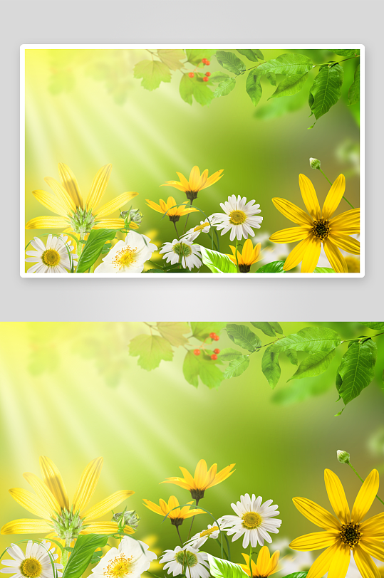 唯美花卉背景墙装饰画-众图网