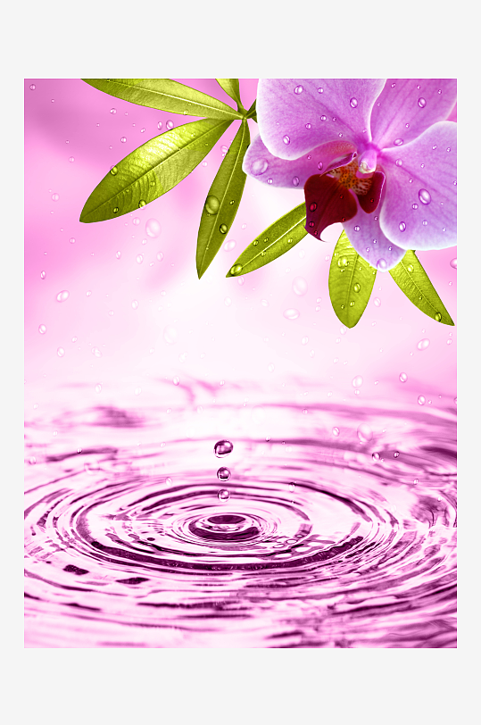 唯美花卉背景墙装饰画-众图网