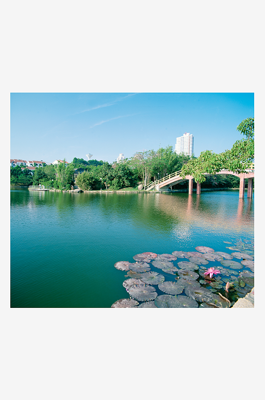 唯美风景画背景墙装饰画-众图网