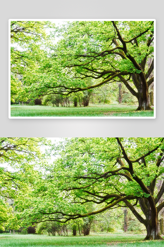 高清风景画背景墙装饰画-众图网