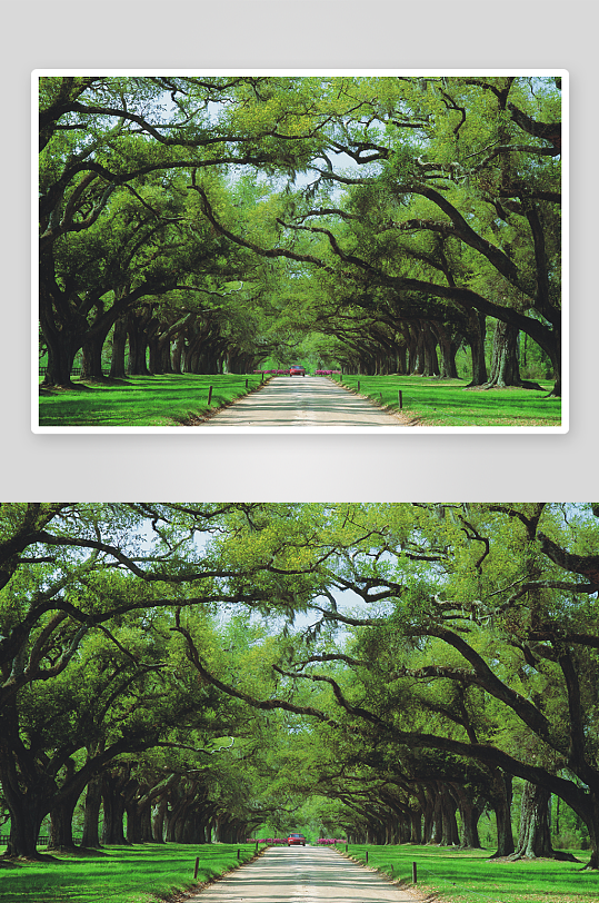 高清风景画背景墙装饰画-众图网