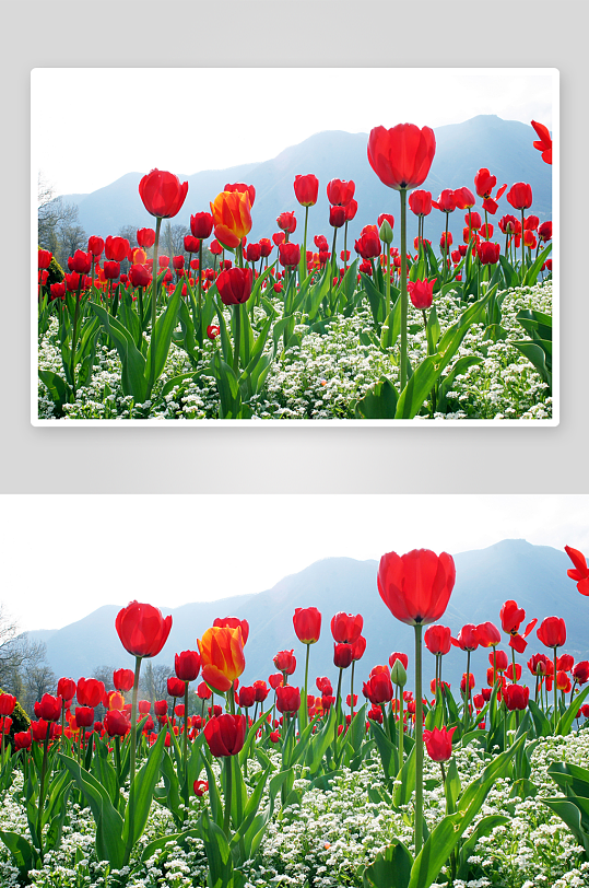 唯美风景画背景墙装饰画-众图网