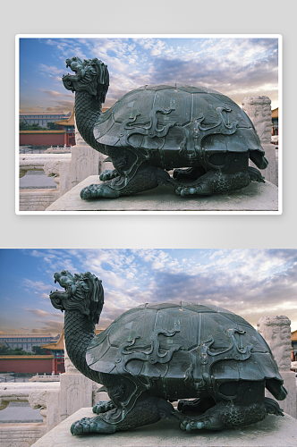 北京故宫神龟龙头龟历史文化古迹影