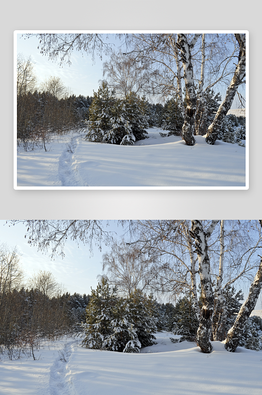 唯美冬季雪景自然风景画