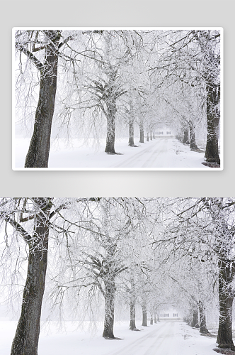 唯美雪地雪景风景画