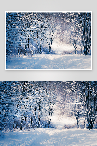 雪地雪景自然风景画图片