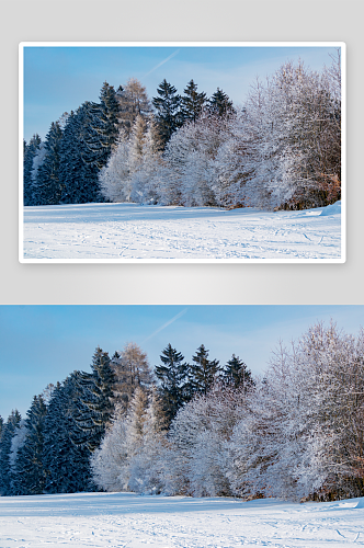 雪地雪景自然风景画图片