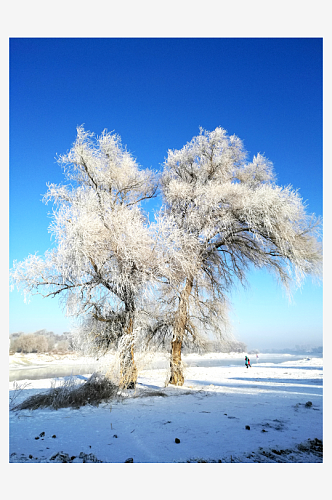 雪地雪景自然风景画图片