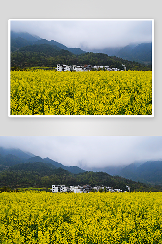 中国乡村美景田园风景画