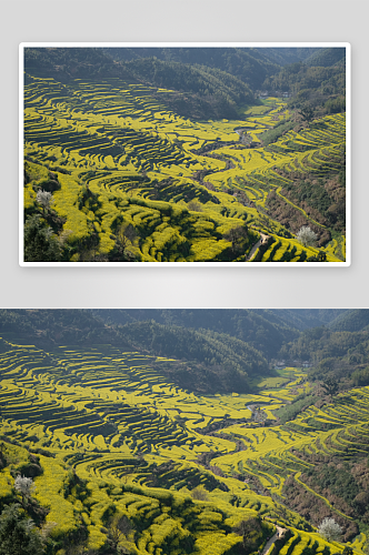 中国乡村美景田园风景画