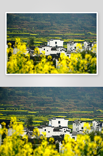 乡村美景高清田园风光