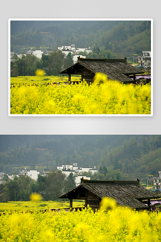 乡村风景画田园风光美景