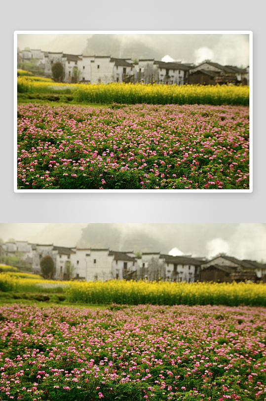 中国风景画乡村田园美景