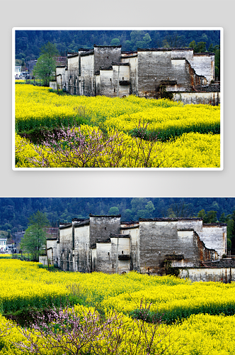 中国乡村风景画田园风光