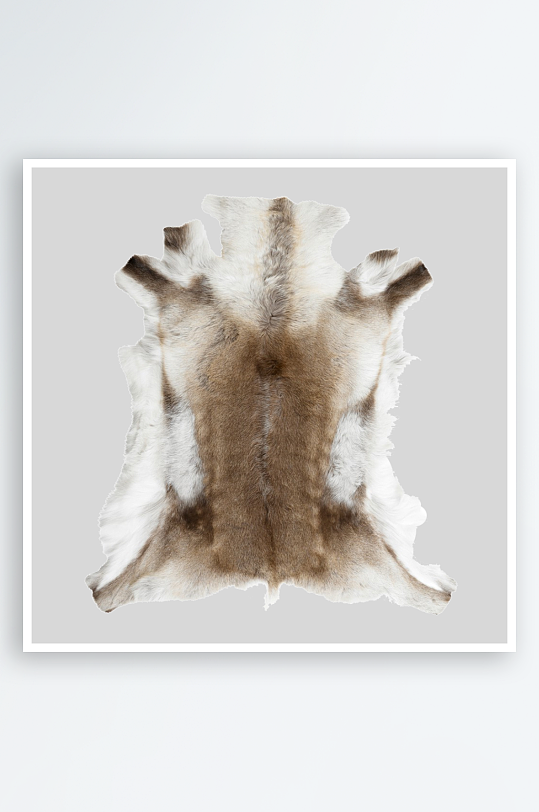 地毯图片素材模版-众图网