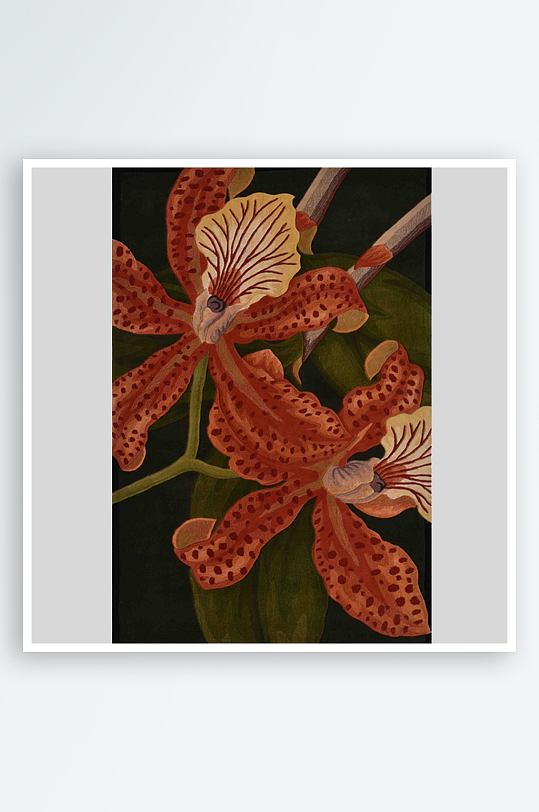 地毯图案背景素材-众图网