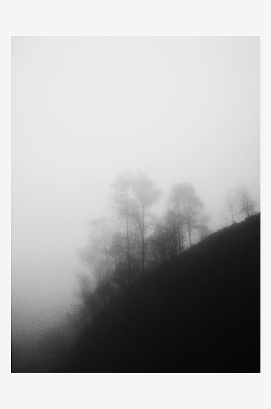 大樹湖畔黑白風(fēng)景畫