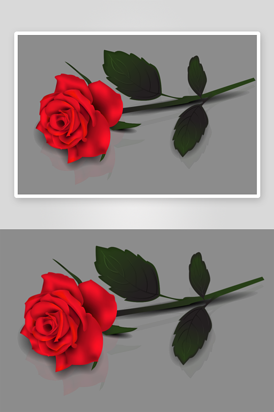 玫瑰花卉免抠png素材-众图网