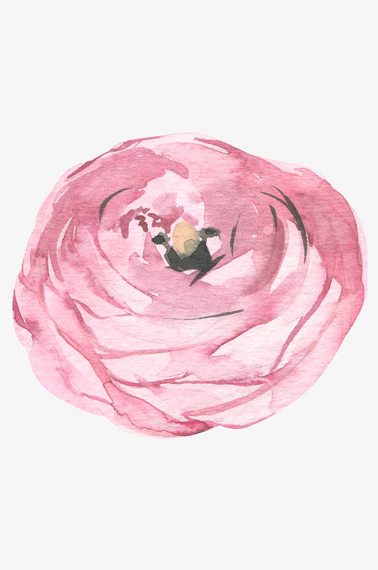 复古手绘植物花卉免抠图-众图网