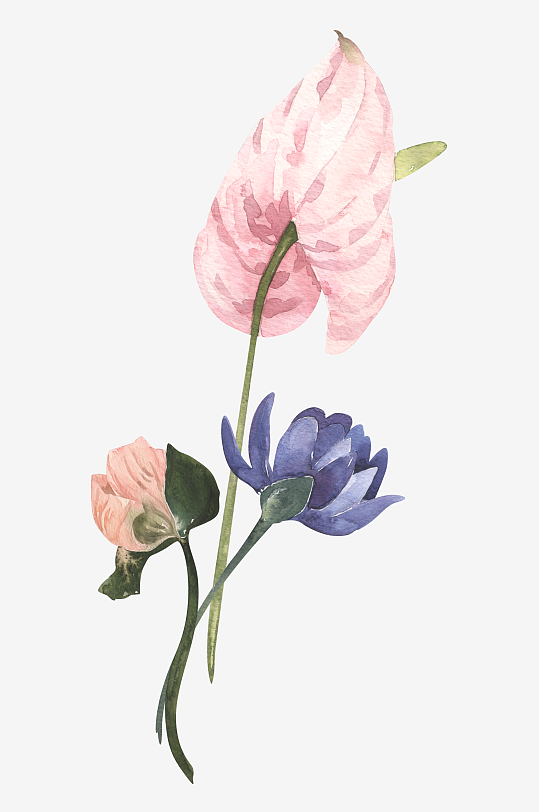 复古手绘植物花卉免抠图-众图网