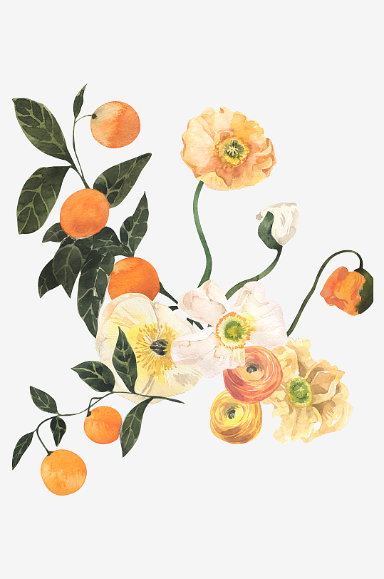 复古手绘植物花卉免抠图-众图网