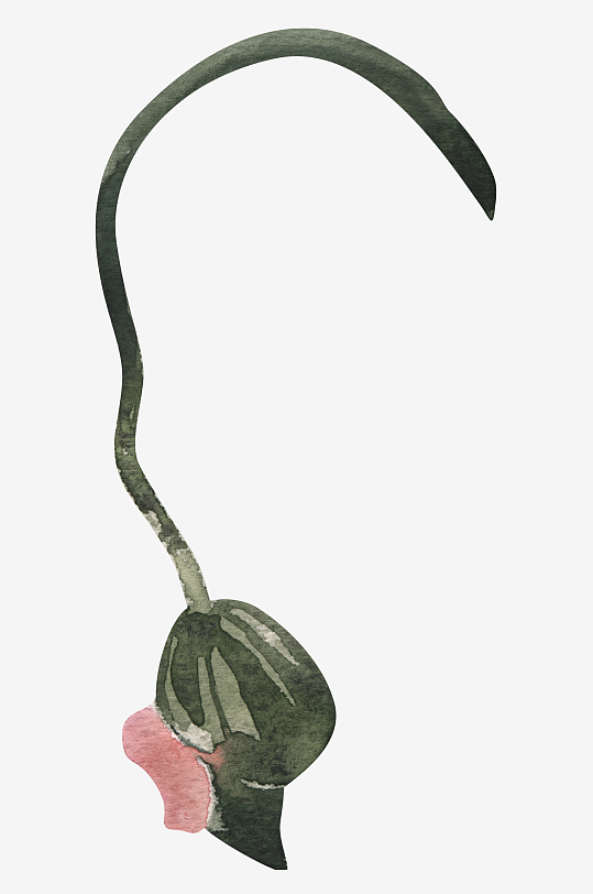 复古手绘植物花卉免抠素材-众图网