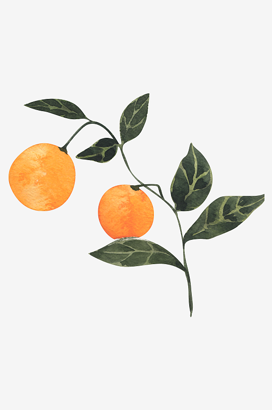 复古手绘植物花卉免抠素材-众图网