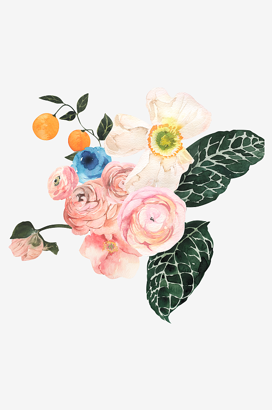 复古手绘植物花卉免抠素材-众图网