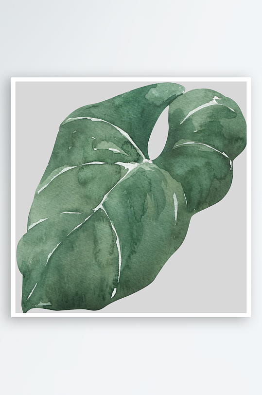 复古手绘植物花卉免抠素材-众图网