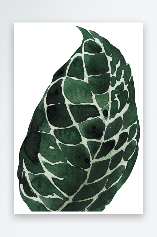 复古手绘植物花卉png素材-众图网