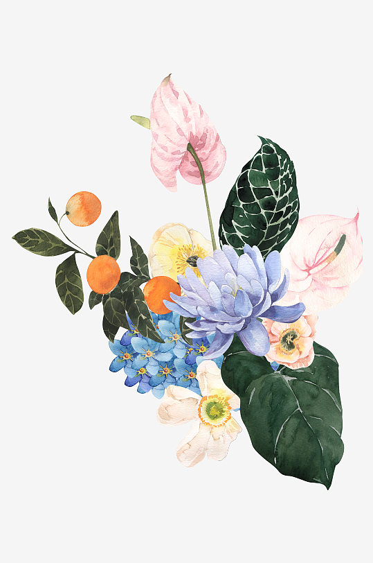 复古手绘植物花卉png素材-众图网