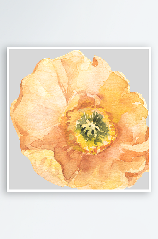 复古手绘植物花卉png图-众图网