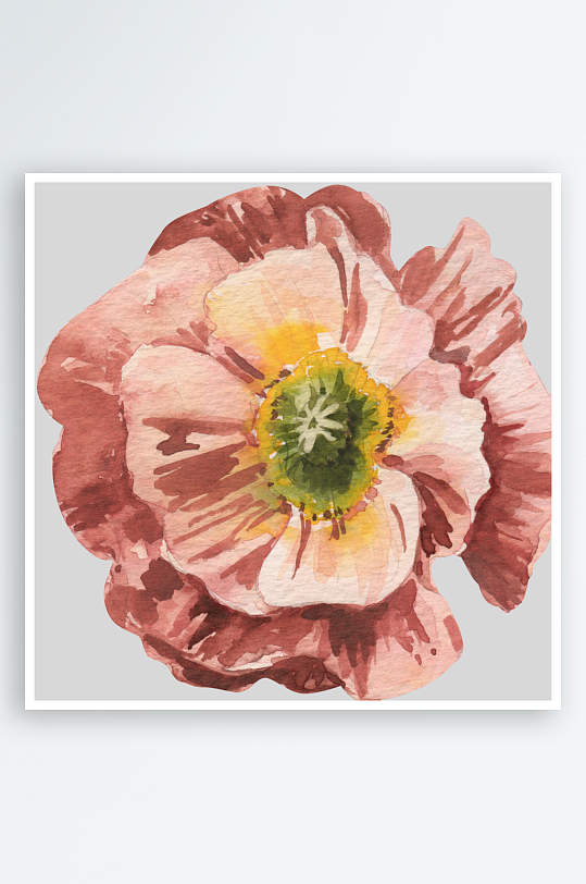 复古手绘植物花卉png图-众图网