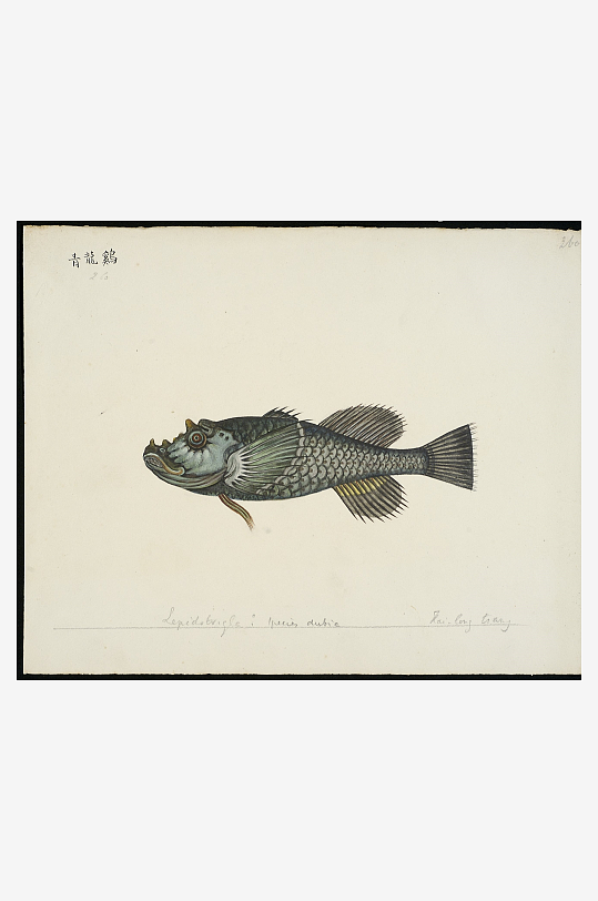 古风海鱼图装饰画图片-众图网