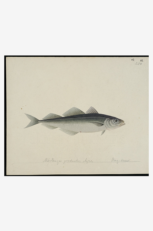 古风海鱼图装饰画图片素材-众图网