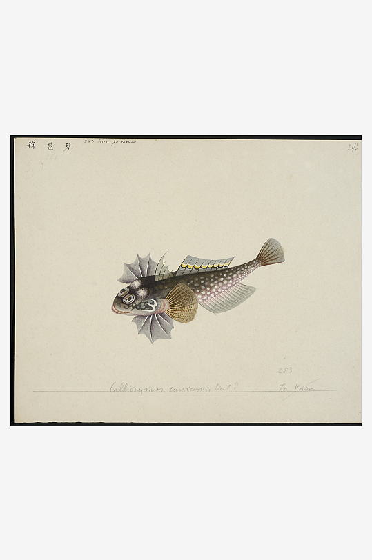 古风海鱼图装饰画图片素材-众图网