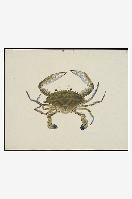 古风海鱼图装饰画图片-众图网