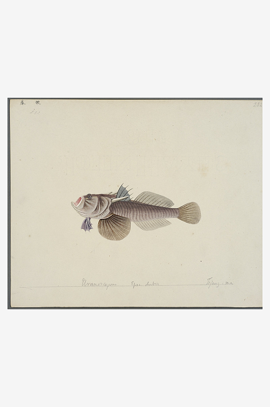 古风海鱼图装饰画图片-众图网