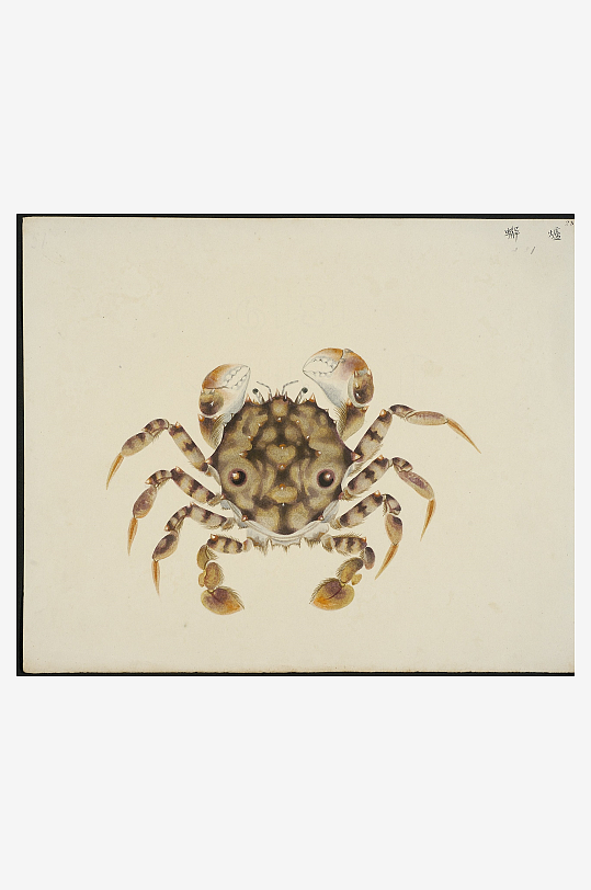 古风海鱼图装饰画图片-众图网