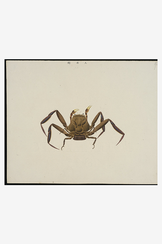 古风复古海鱼图装饰画图片素材-众图网