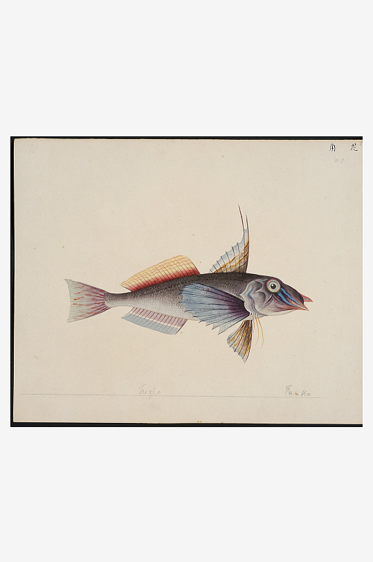 古风复古海鱼图装饰画图片素材-众图网