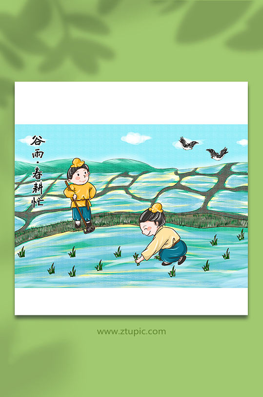 芒种春耕插秧谷雨插画素材