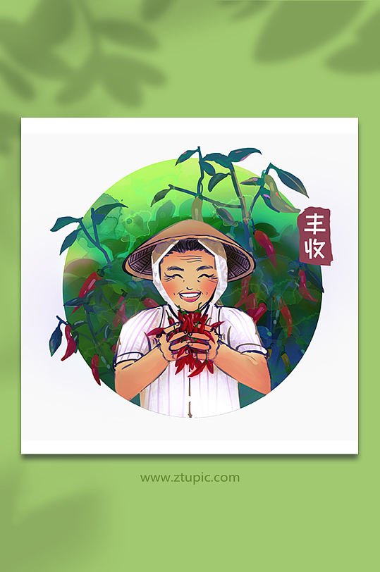 农民丰收辣椒农作物插画
