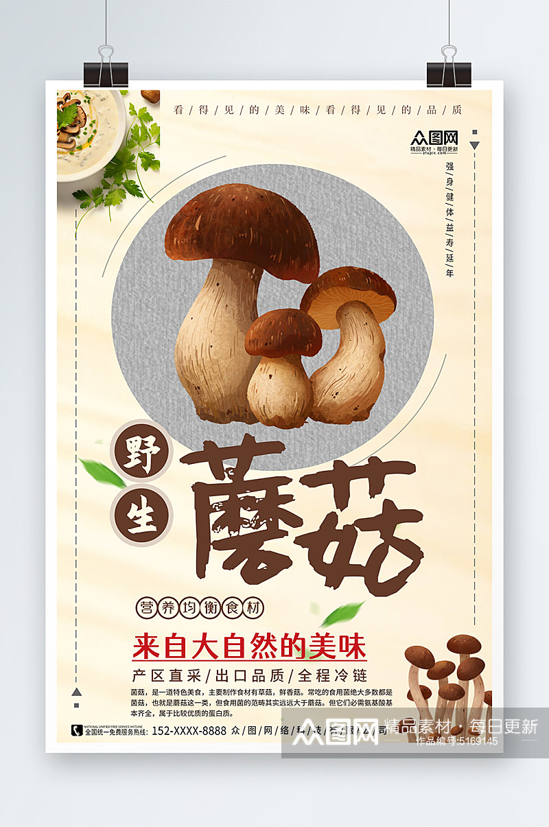 简约蘑菇菌菇蔬菜海报素材